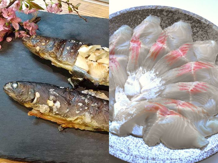 イワナの塩焼き＆お刺身セット