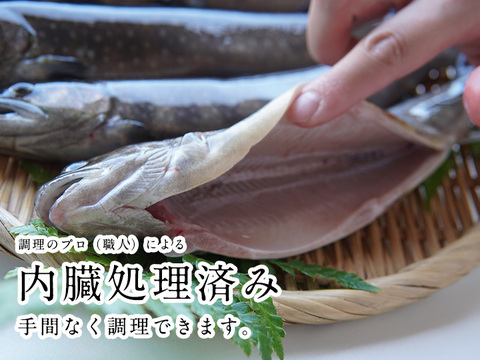 深瀬イワナ（塩焼き用） - サムネイル 8