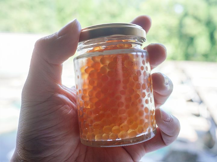 岩魚の輝いくら - サムネイル 9