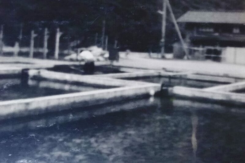 旧養魚場